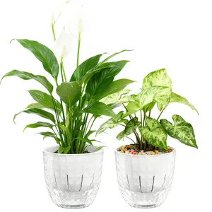 Self-watering Pots 2PCS for Indoor Plants Planters 4.5in Flower Pots for Money Tree, Snake Plants, Herbs Houseplants, monstera with Drainage Hole and Saucers, Cute Clear Gardening Pot