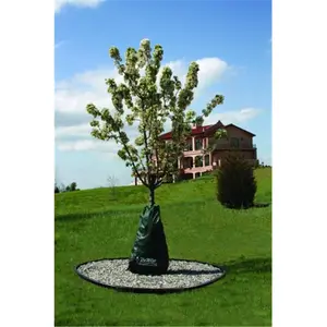 212 MAIN Dewitt Dew Right 20-Gal Green Drip Irrigation Bag for New Trees (TWBAG12) - Zip, Tool-Free Install, Efficient Watering
