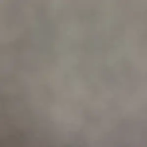 review image 4