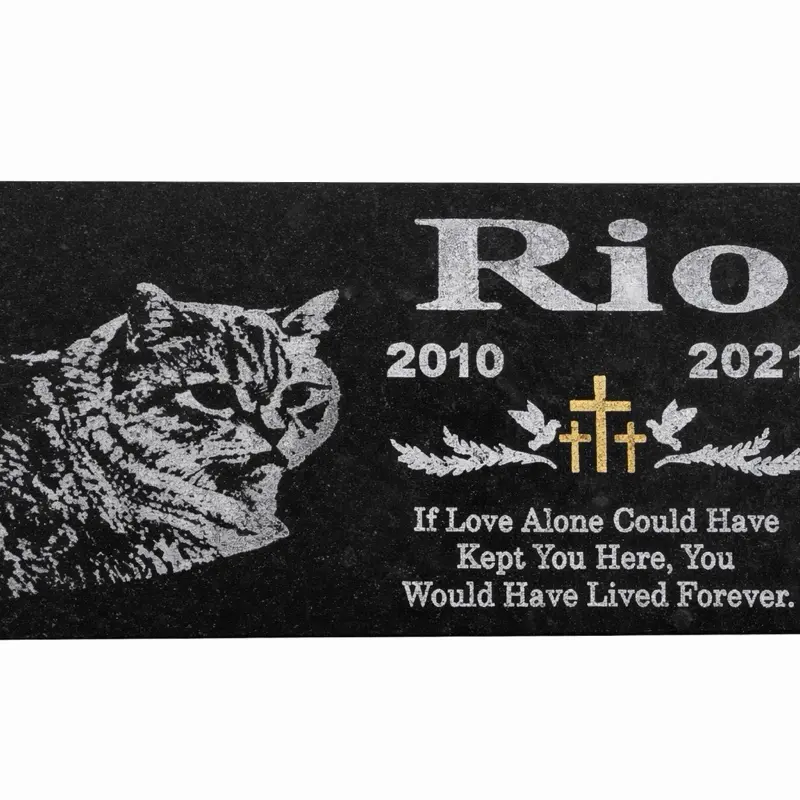 Grave marker Memorial on Absolutes Granite - Premium Black Granite with Gold Lettering for Dignified Pet Tribute