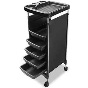 6-Layer Salon Station Trolley Cart with Wheels，Salon Trolley - Space Saving Rolling Cart for Hairdressing, SPA, Tattoo Tray, Multipurpose Salon Cart Salon Stations for Hair Stylist
