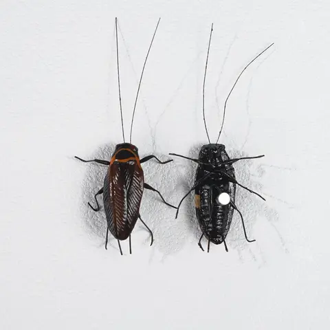 2PCS Cockroach Fridge Magnets - Fun Clay-Made Fake Roaches for Fridge, Car & Office Pranks