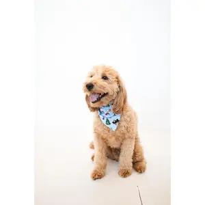 PET BANDANA - MISFITS