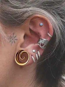 vanku 2PCS Snail Design Ear Expander Saddle Plugs Tunnels Guages for Ears Holes Stainless Steel Stretcher Body Piercing Jewelry