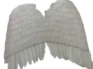White Feather Wings