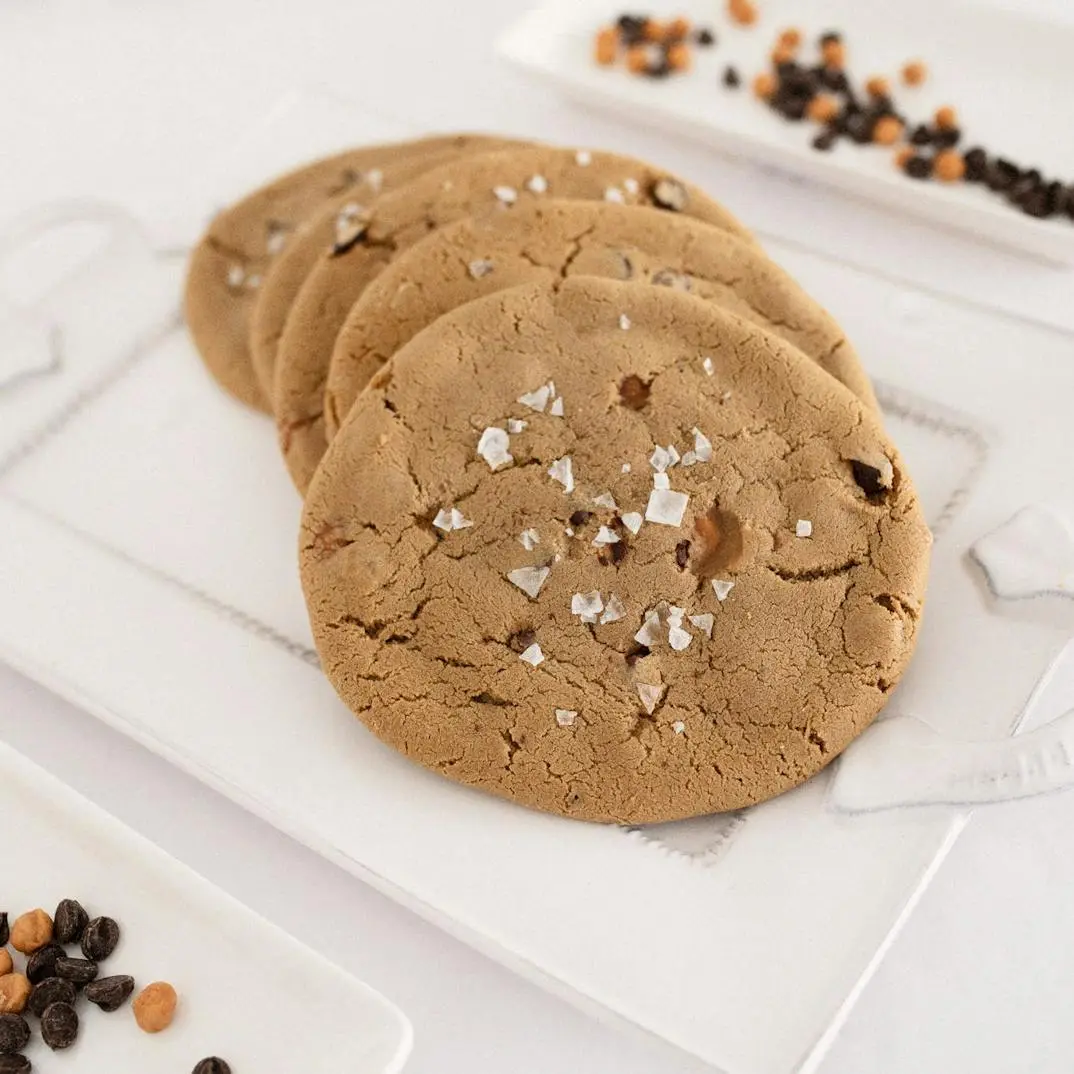 5-Pack - T-Rex Sea Salt Caramel Chocolate Chip Cookies 1/2 Pound Snack - Best Cookie in America 2017 Winner