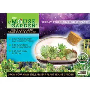 The Succulent Star Mouse Garden Glass Terrarium with Cork