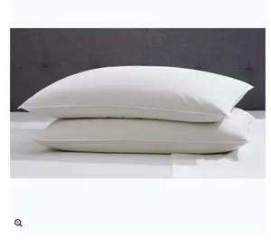 BRYLANE HOME 2-Pack QuillesS Feather-Filled Pillows