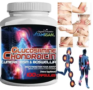 Glucosamine Chondroitin Turmeric & MSM 200 CAPSULES - Bones Joint Support Pills