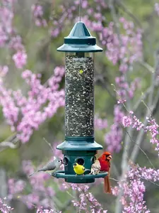 Squirrel Buster Plus Squirrel-Proof Bird Feeder - Green, with Cardinal Ring, 6 Feeding Ports, 5.1-lb Seed Capacity, Adjustable, Pole-Mountable (Pole Adaptor Sold Separately)