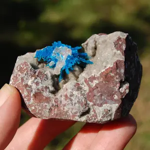 Large Cavansite Crystal Cluster