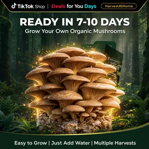 【Deals for You Days】Multiple Harvests Harvest At Home Edible Organic Oyster Mushroom Grow Kit 3.5 lb | Ready in 7–10 Days  | Beginner Friendly | DIY Indoor Gardening Gift for Plant Lovers, Father's Day Gift，Kids & Adults