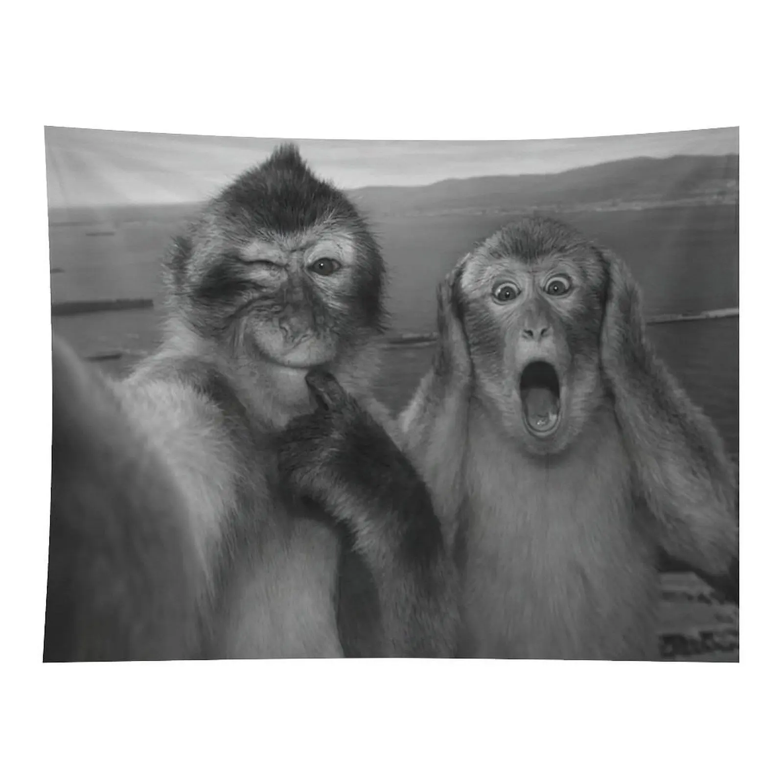 Funny Monkey Selfie Decorative Tapestry, Black-White Animal Photo Hanging Wall Art, Wall Decor for Bedroom Dorm & Bedroom Aesthetic