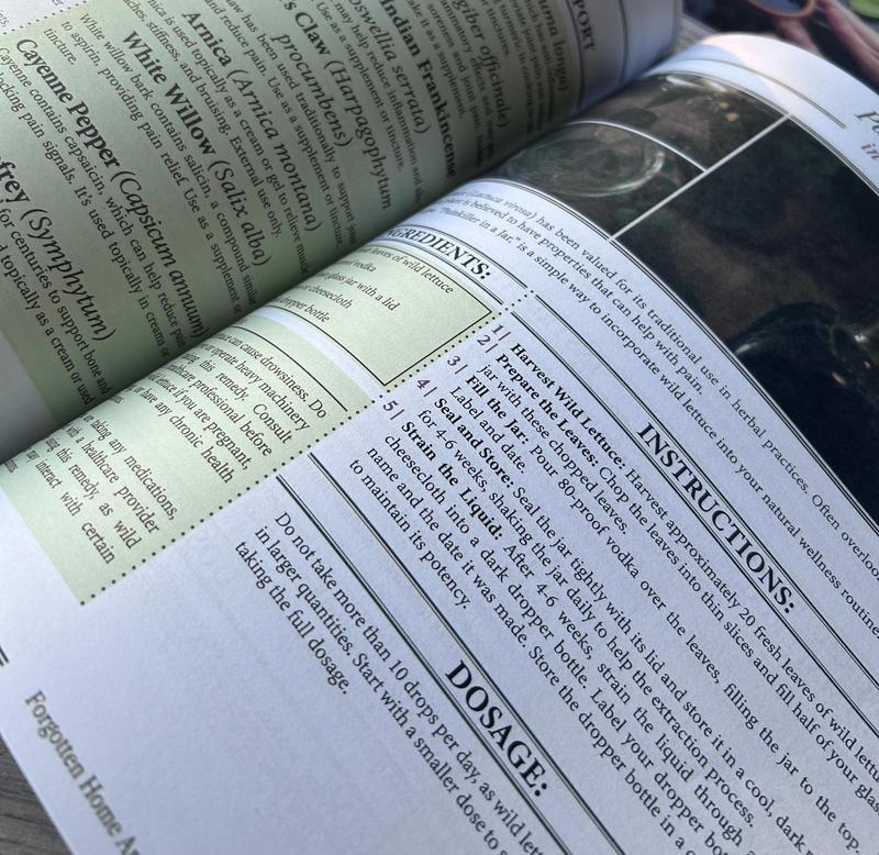 2026 Complete Home Natural Therapy Set: 250 powerful therapies at your fingertips, holistic health and self-care, including the preparation of tinctures, infusions, decoctions, plasters, teas, and patches.