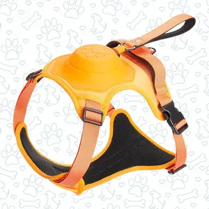 Dog Harness & Leash
