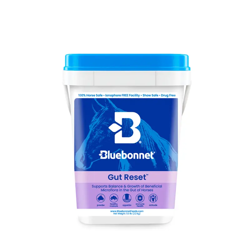 Gut Reset Powder - Equine Probiotic Digestive Health Nutritional Supplement