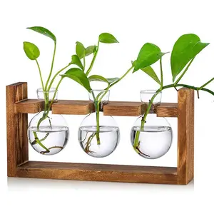 Plant Propagation Station with Wooden Stand, Wall Hanging Glass Planter Tabletop Terrarium Bulb Vase for Hydroponics Plants Home Office Decor
