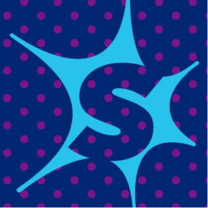 Sparkle Athletic