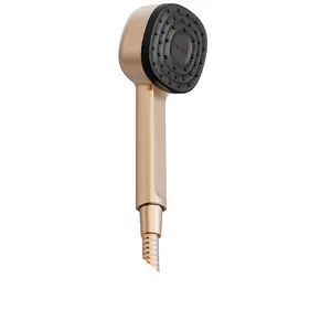 Canopy Handheld Filtered Showerhead in Brass