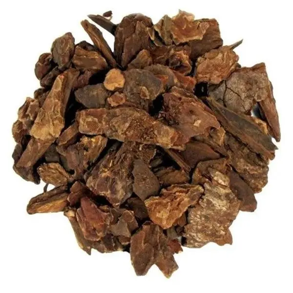 Natural Norway Spruce Root (Jezebel Root) Traditional Botanical - Witchcraft Charm for Attraction, Personal Empowerment - Collectible Cultural Spice, Resealable Bags (1 oz, 0.5 oz Options)