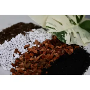 Chunky Potting Soil Mix - Houseplant Soil Mix - Best Indoor Potting Soil - Well Draining Potting Soil for Rare Indoor Plants & Cactus