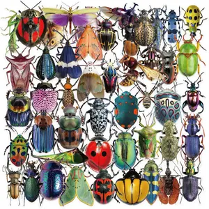 50 Transparent Realistic Insect Spider Stickers for Scrapbooking, Flat Animal Decals for Guitars and Notebooks, Decorative Craft Supplies, Various Designs