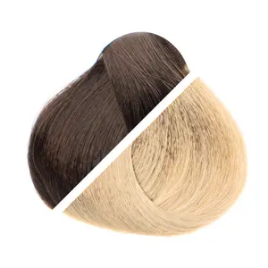 6/204 Light Chestnut / Ash Blonde Ombré Invisible Tape-In