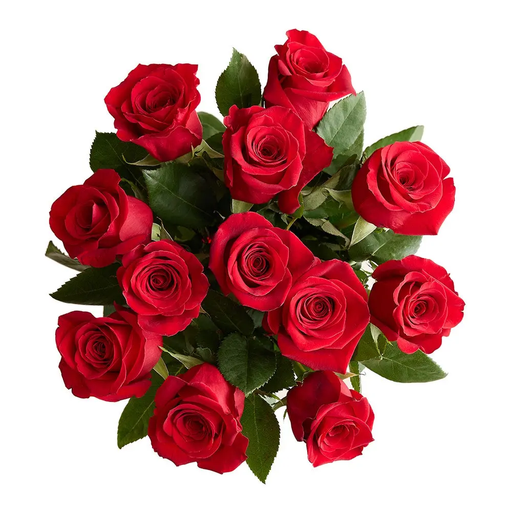 1800 Flowers - 12 Stem Red Roses Bouquet Only, Fresh Flowers 1800 Flowers - 12 Stem Red Roses Bouquet Only, Fresh Flowers