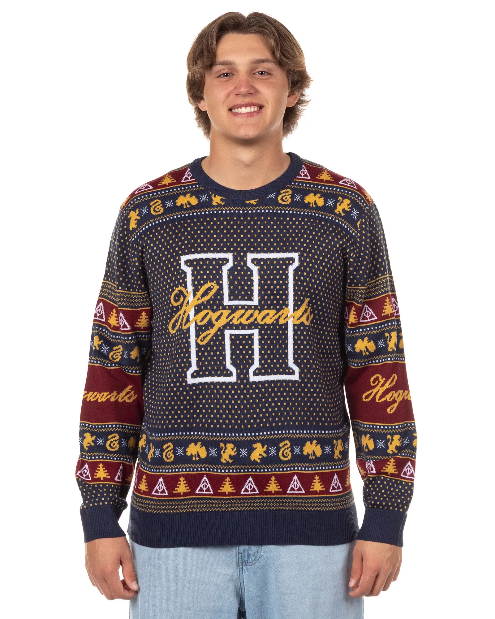 Harry Potter Men's Hogwarts Houses Design Adult Ugly Holiday Knit Sweater, Tops, Menswear