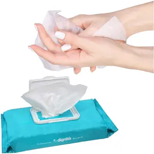 Dignita Pre-Moistened Cloths 8"x12" Adult Wet Wipes 600 Count 12 Packs of 50 Mild Refreshing Aloe-enriched Wipes with Re-closable Lid Personal Napkin