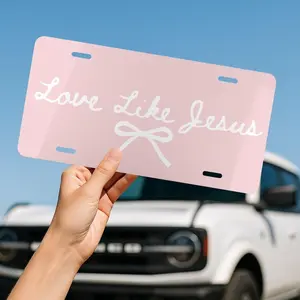 Pink Bow License Plate, Personalized Initial Car Tag, Cute Ribbon Design Plate Frame, Custom Name Auto Accessory, Feminine Style Gift