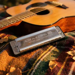 KONGSHENG AM20 10-Hole Diatonic Harmonica - Richter Tuning, Bright Tone, Durable Build, Stainless Steel Covers, Ideal Gift for Musical Instrument Enthusiasts