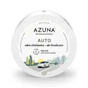 Auto Odor Eliminator