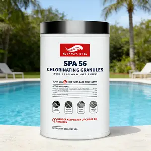 Essential Care for Crystal Clear Swimming Pool Water