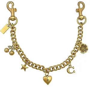 Chain Charm for Handbag, Purse Wallet &Pants Chain Jean Chains, Vintage Bag Strap Chains Extender