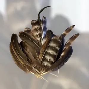 25 Hand Collected Cruelty-Free Chicken Feathers