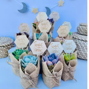 Watch Me Grow Baby Shower Favors - Live Succulent Favors for Baby Showers Gifts Pack