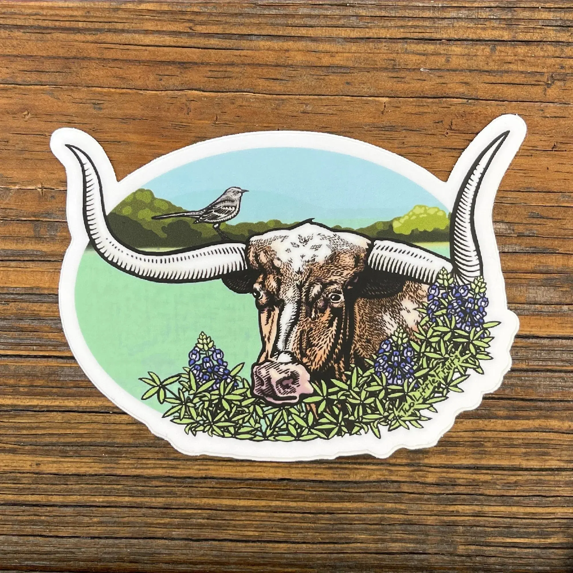 Texas Longhorn Vinyl Sticker