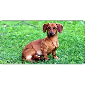212 MAIN Rectangular Dachshund Theme Lightweight Aluminum Metal Charm Key Chain - 1.5x3 in, Weatherproof, High-Gloss Smart Blonde Novelty, Car Interior Decoration, Cars Accessories
