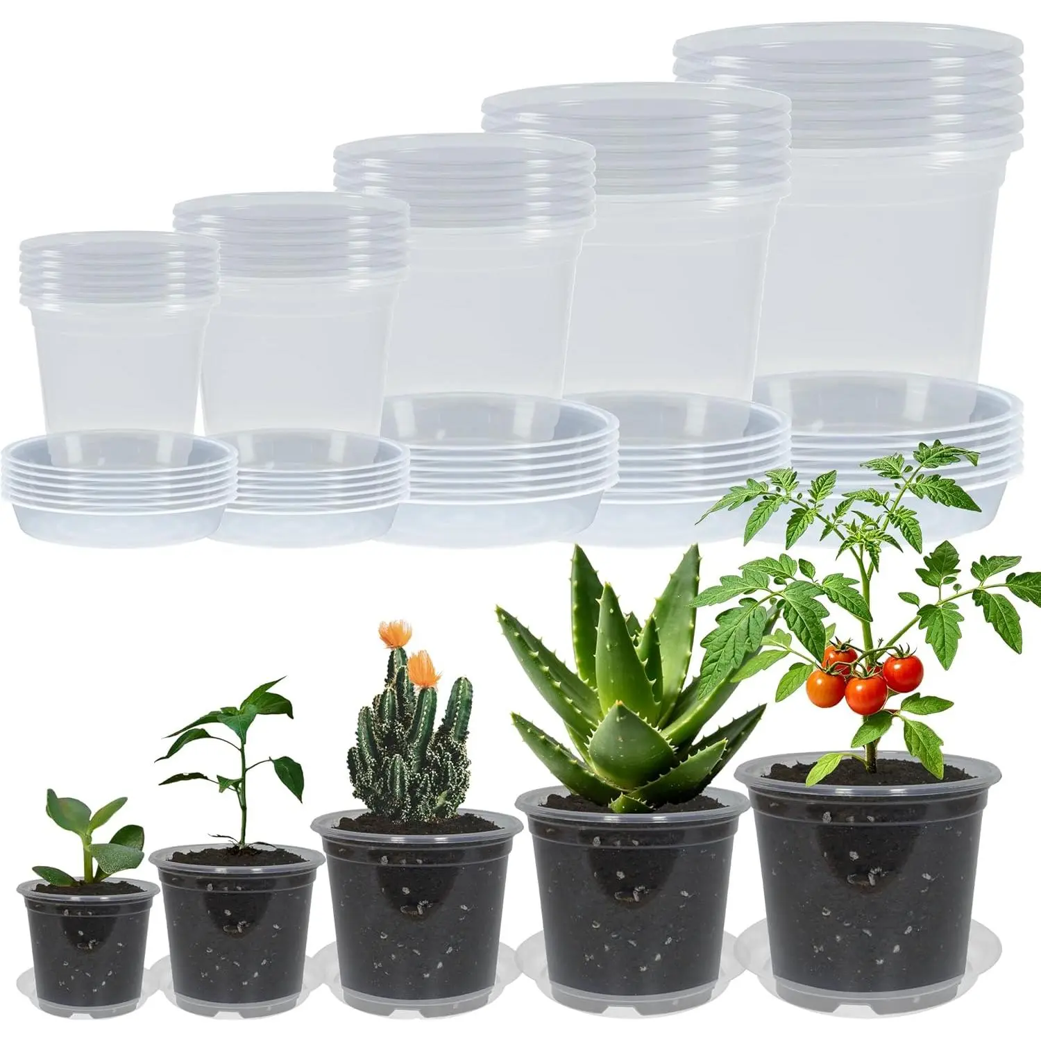 30 Pack 3/4/5/6/7 Inch Clear  Pots with Drainage and 30 Pack  Saucers,  Pots for  Transparent Potting Containers for  Seeding Starter Pot (Clear, 3/4/5/6/7 Inch)