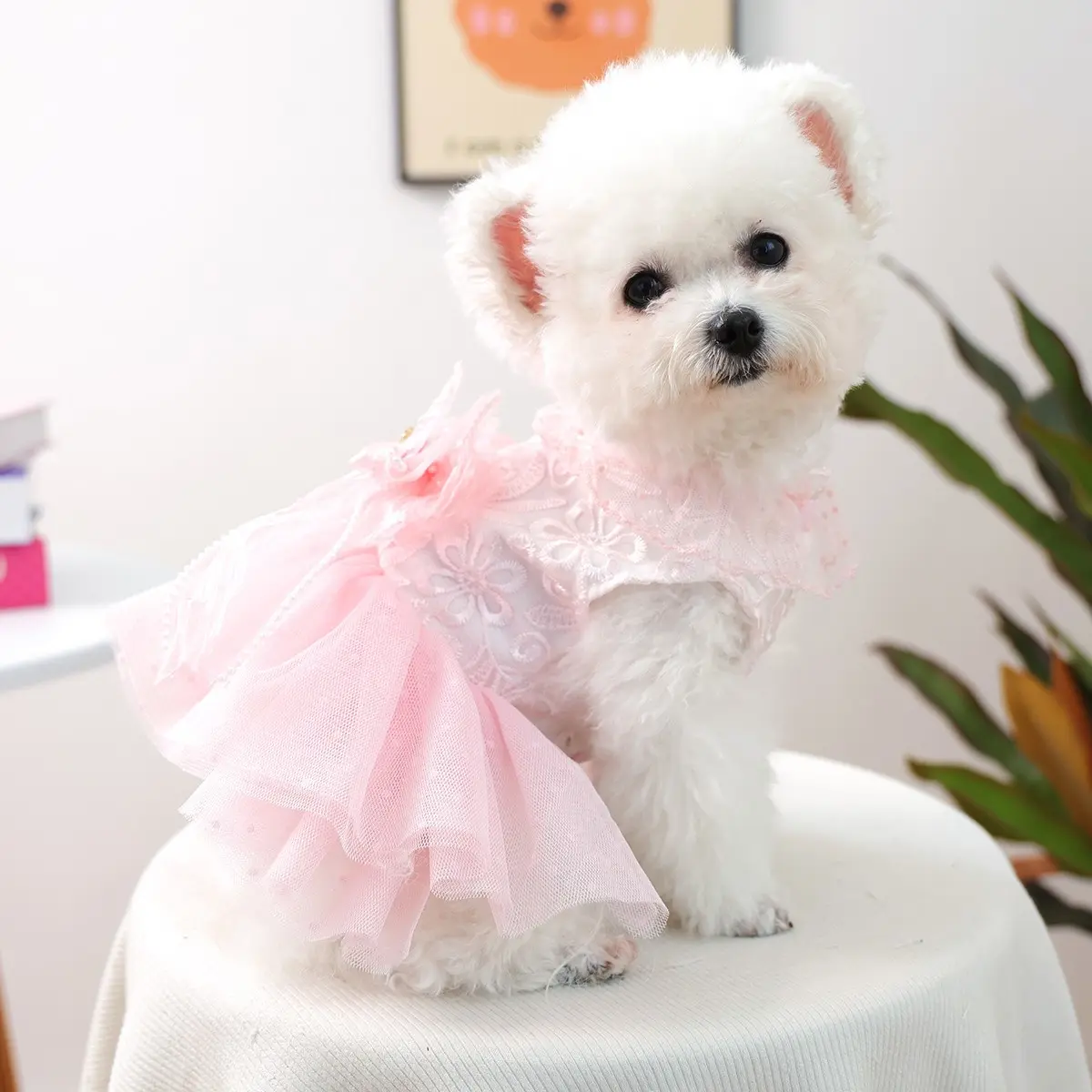 Cute Peach Wedding Dress for Pets, Dog & Cat Clothes, Puppy Clothes, Teddy Bichon Pomeranian Yorkie Small Dogs Apparel, Adorable, Costume