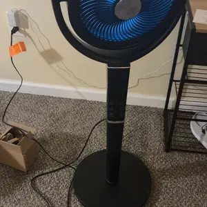 Black fan full body