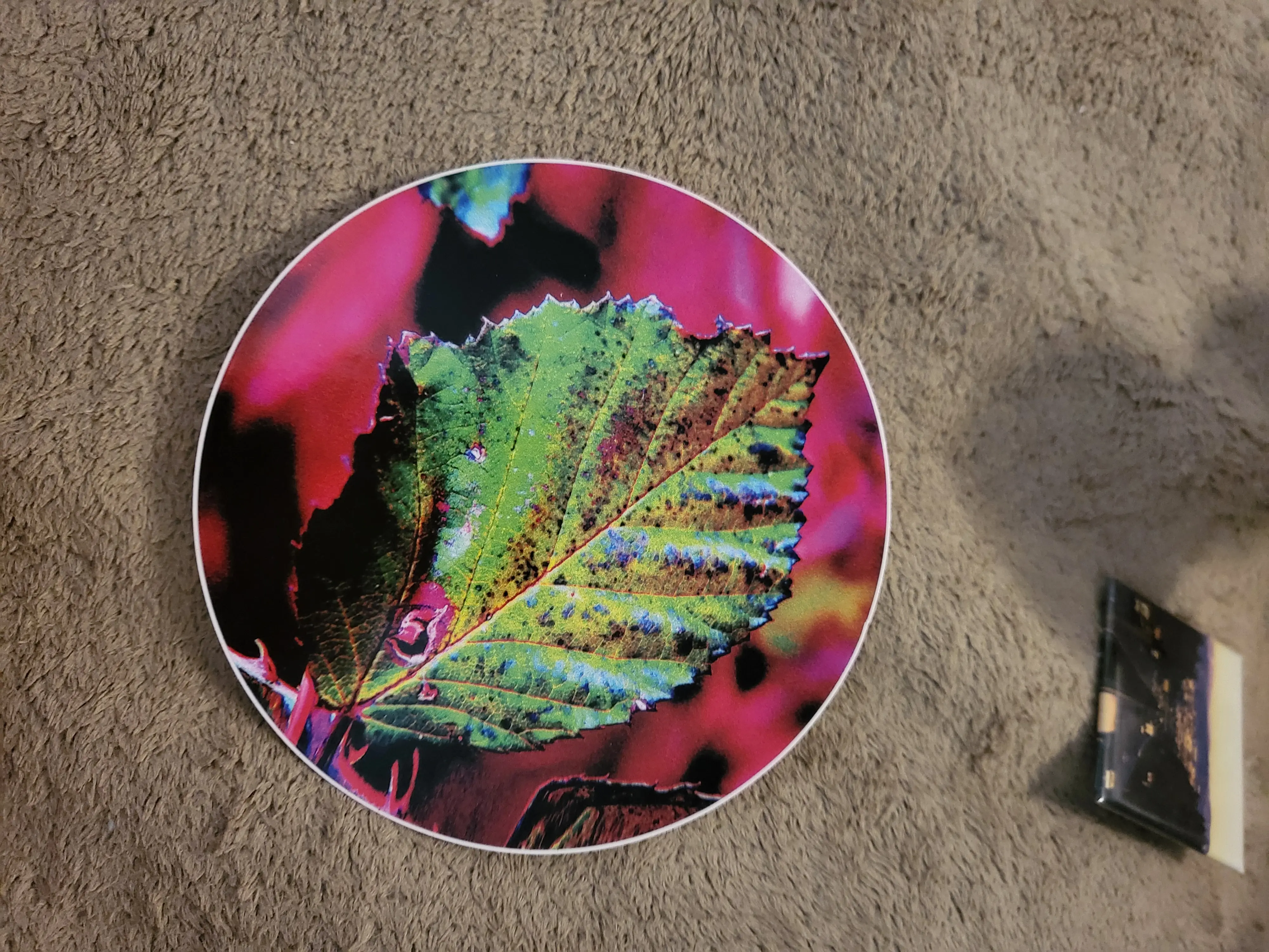 Huge Leaf Sticker for Binders and Notebooks in Green