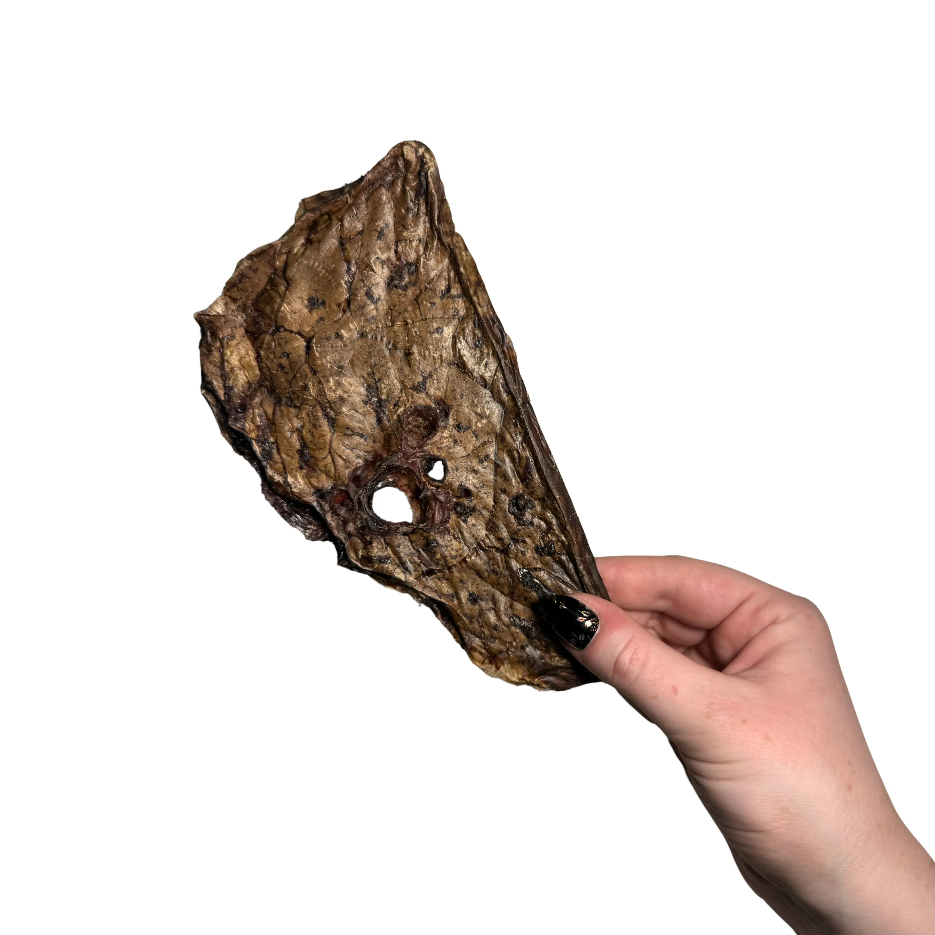 beef lung