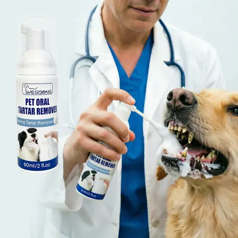 Veterinary-Recommended Pet Oral Care Foam Cleaner for Dogs & Cats (60ml, Honeysuckle & Mint) - Glycerin-Infused, No Brushing Needed, Balances pH Value, Eliminates Bad Breath, Controls Plaque, Prevents Dental Calculus, 12h Fresh Breath