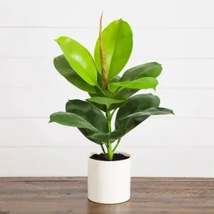 20" Artificial Fiddle Leaf Fig Plant