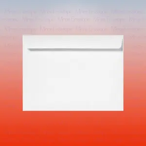 100 Minas Envelope - 10 x 13 Inch White Booklet Envelopes, Heavy 28lb Paper, Side Opening, Gummed Flap, 100 Count