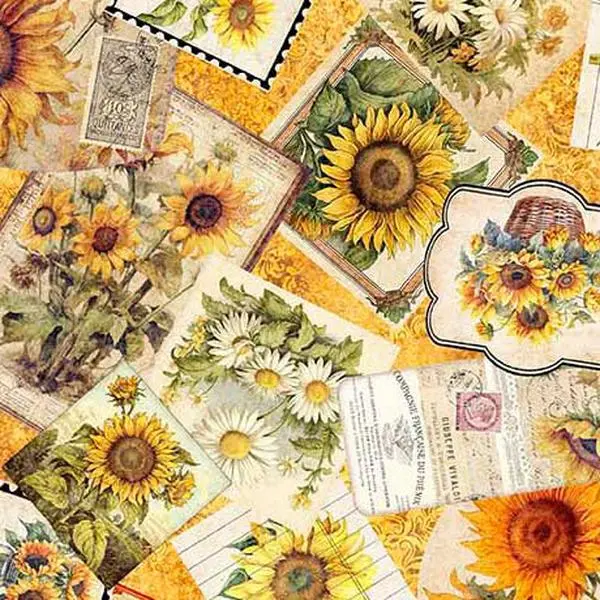 Fabric QT Orange Sunflower Ephemera Sunflower Serenade by the Quarter Yard 31802-O