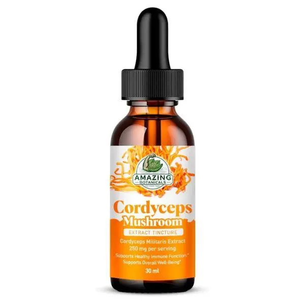 Amazing Botanicals USA-Made Cordyceps Mushroom Extract Tincture Dietary Supplement, 250mg per Serving Dual Extract Liquid, Fitness Support, Vegan, Non-GMO, Sugar-Alcohol-Free, 1oz (30mL) Bottle