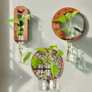 Plant Propagation Station Wall Hanging Wooden Moon Phase Plant Terrarium for Hydroponics Home Office Decor Air Plant Holder Gift